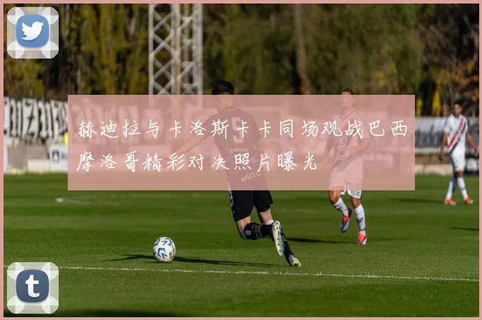 赫迪拉与卡洛斯卡卡同场观战巴西摩洛哥精彩对决照片曝光
