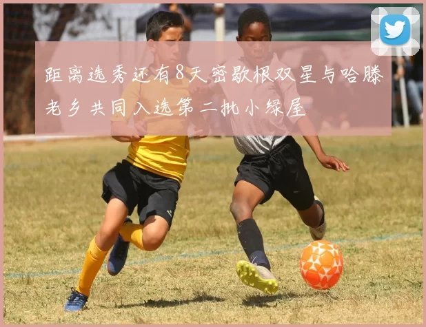 距离选秀还有8天密歇根双星与哈滕老乡共同入选第二批小绿屋
